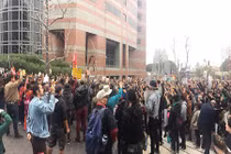 Biểu tình phản đối sắc lệnh của ông Trump về dự án Dakota Access