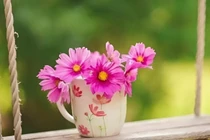 Người càng rộng lượng, càng đón nhiều phước lành
