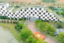 Trường Đại học FPT rực rỡ sắc cờ: Khi trái tim thế hệ trẻ chung nhịp đập vì Tổ quốc