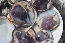 Đặc sản chỉ có ở Quảng Ninh nghe tên chán ngán, xưa không ai biết đến nay được ưa chuộng vì hương vị lạ, 600.000 đồng/kg