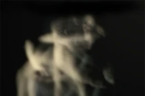 Giải mã bí mật giấc mơ qua ảnh chụp ma quái