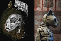 Sự thật sốc xác ướp thiêng không phải con người trong mộ cổ Ai Cập