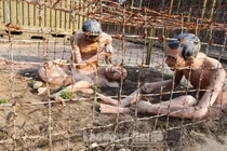 Rùng mình "chốn địa ngục trần gian" ở nhà tù Phú Quốc 