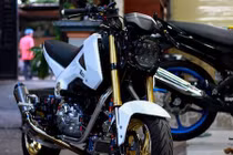 Honda MSX125 độ “full đồ Nhật” trăm triệu ở Bạc Liêu