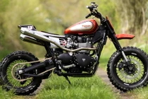 Triumph Bonneville phong cách “cào cào” siêu cá tính