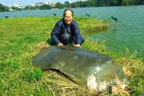 Hồ Gươm ô nhiễm và mất khả năng tự làm sạch