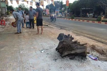 Tai nạn ở Gia Lai: Sự cố xe hay nguyên nhân bí ẩn khác?