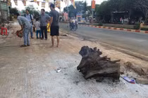 Tai nạn ở Gia Lai: Sự cố xe hay nguyên nhân bí ẩn khác?