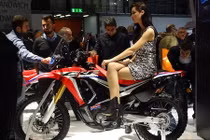 “Xế phượt” Honda CRF 250 Rally thách thức mọi địa hình