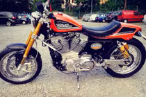 Harley-Davidson Sportster 1200 độ scrambler "hàng thửa"