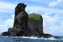 Ảnh: Kỳ thú cảnh hàng nghìn con chim nhạn đẻ trứng ở Hòn Hải