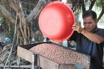 Lạc rớt giá, “tức quá” sáng chế ra máy ép dầu, dân hoan hô