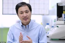 Cặp song sinh biến đổi gen tại Trung Quốc có nguy cơ tử vong