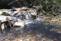 Nước sạch sông Đà nhiễm dầu: Manh mối giúp công an lần ra 3 nghi phạm 