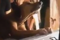 Chó bám chặt quan tài, quyết không chịu rời người chủ đã khuất 