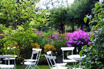 Thu nhập nghìn USD, ở nhà biệt thự, người đàn ông cư xử gây phẫn nộ