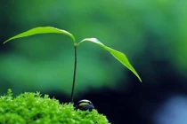 3 lời khuyên đắt giá giúp bạn thoát khỏi cảm giác cô đơn, thất bại 