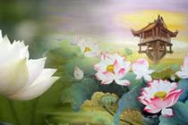 Tại sao kẻ ác lại được phú quý, còn người tốt luôn gặp tai họa?