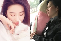 Cuộc sống phía sau ánh hào quang của Lưu Diệc Phi