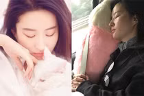 Cuộc sống phía sau ánh hào quang của Lưu Diệc Phi