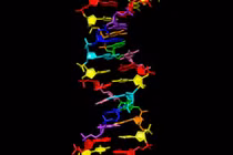 Truy tìm sự sống ngoài hành tinh từ DNA "8 chữ cái"