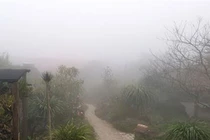 Khu vực Bắc Bộ sáng có sương mù, trưa chiều trời nắng