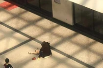 Nghe tiếng hét thất thanh của con trai nhỏ, mẹ ngã quỵ khi nhìn xuống sân