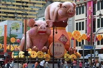 Chuyện gì xảy ra vào Tết con lợn ở một quốc gia Hồi giáo?