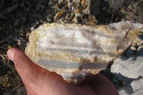 Sốc với bằng chứng về một loài người khác đi khai phá hoang đảo