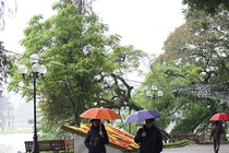 Dự báo thời tiết 1/11: Hà Nội mưa lạnh, Trung Bộ mưa lớn