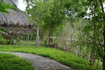 Mẹ ngoại tình, con gái nhỏ khóc nghẹn ngoài sân 