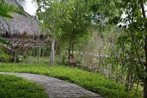 Mẹ ngoại tình, con gái nhỏ khóc nghẹn ngoài sân 