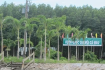 Vì sao nguyên Giám đốc Vườn Quốc gia Mũi Cà Mau bị kỷ luật?