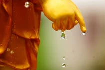 Phật dạy: Con người muốn rũ sạch phiền não phải biết dứt bỏ hoàn toàn 2 thứ sau