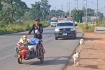 Người chồng đi bộ xuyên đất nước cùng tro cốt của vợ