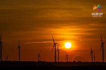 Ninh Chữ: Muốn ở đây thôi, chẳng muốn về