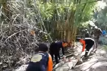 Ong bắp cày đốt chết hướng dẫn viên, vây lấy thi thể suốt 4 ngày