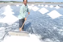 Từng thiếu mặc, đói ăn, người dân rừng Sác giàu lên nhờ điều này