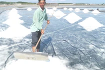 Từng thiếu mặc, đói ăn, người dân rừng Sác giàu lên nhờ điều này