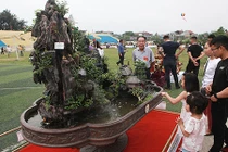 Chiêm ngưỡng “Việt Bắc thu nhỏ” được “hét” giá 500 triệu đồng 