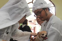 Chú cún cưng quấn khăn tang bên linh cữu nghệ sĩ Lê Bình