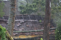 Lốc xoáy 'hậu bão' quật tung hơn 400 nóc nhà dân ở Quảng Ngãi