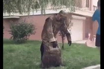 Hoảng hồn với những pha troll “khốn nạn” trên phố