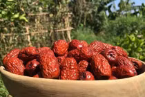 Chị em lùng mua đặc sản táo đỏ Tàu ngon bổ 300.000 đồng/kg