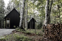 Gợi ý tuyệt vời cho đại gia thích làm nhà trong rừng 