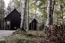 Gợi ý tuyệt vời cho đại gia thích làm nhà trong rừng 