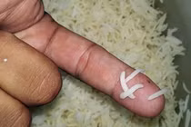 Video: Sự thật về loại gạo không nở, đốt có mùi khét nghi gạo giả