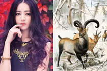 3 con giáp tình duyên phơi phới, sự nghiệp hanh thông nửa đầu 2019