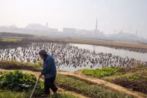 Trung Quốc lập chiến lược hướng Tây vì "miếng cơm"?