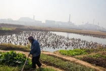 Trung Quốc lập chiến lược hướng Tây vì "miếng cơm"?